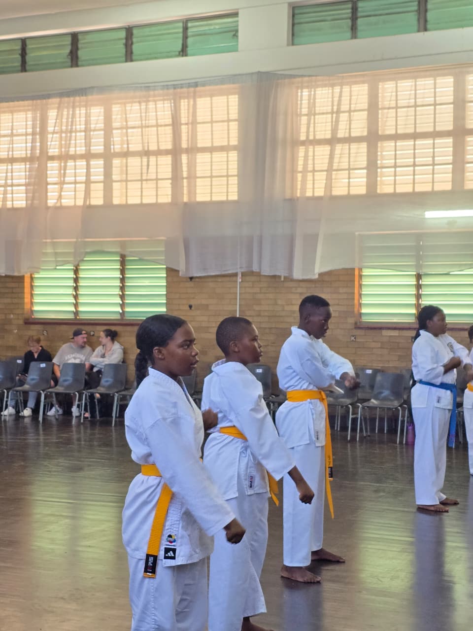 Goju Ryu Karate Centre Randburg